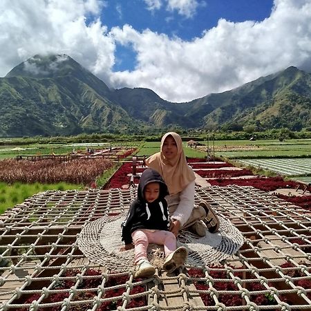 Tatasya Homestay Senaru Ngoại thất bức ảnh