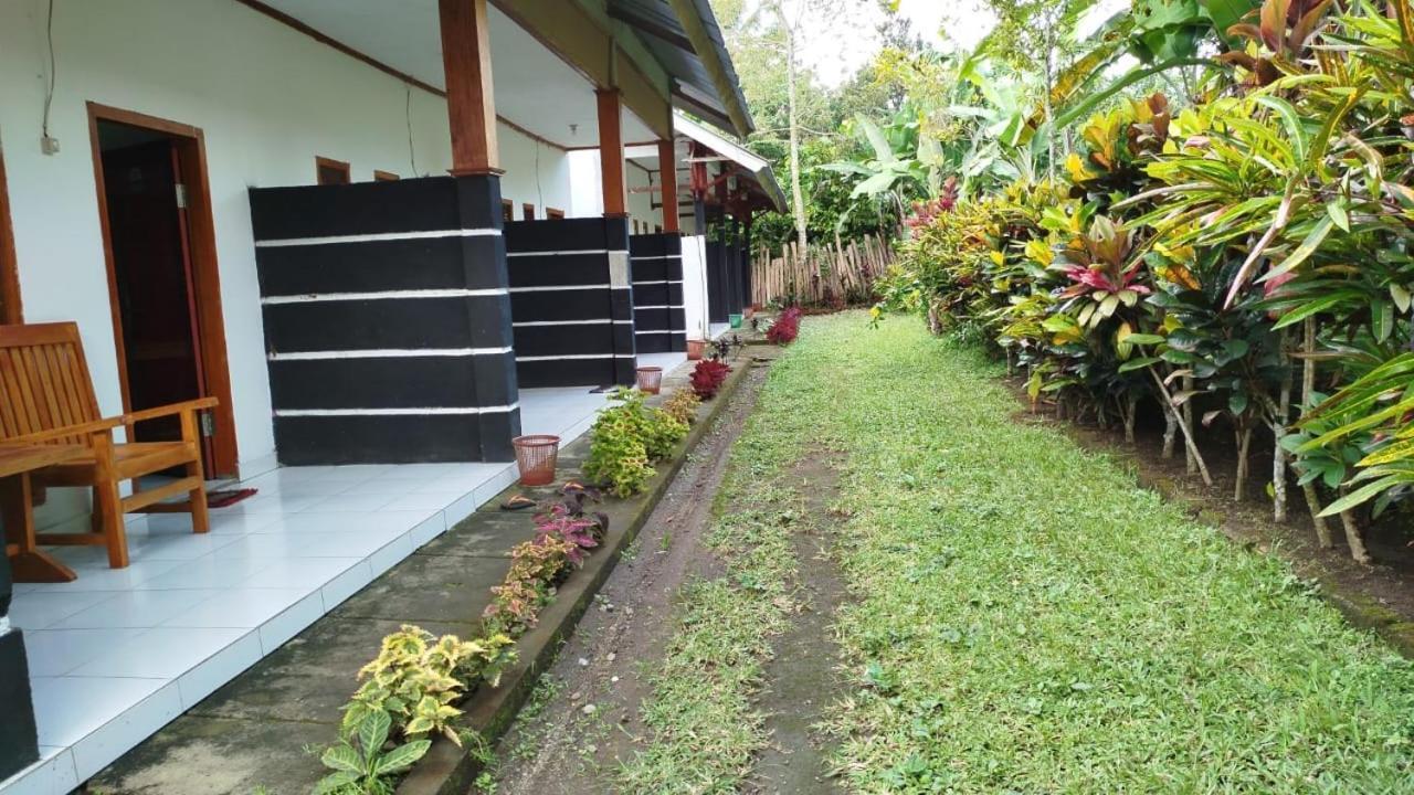 Tatasya Homestay Senaru Ngoại thất bức ảnh