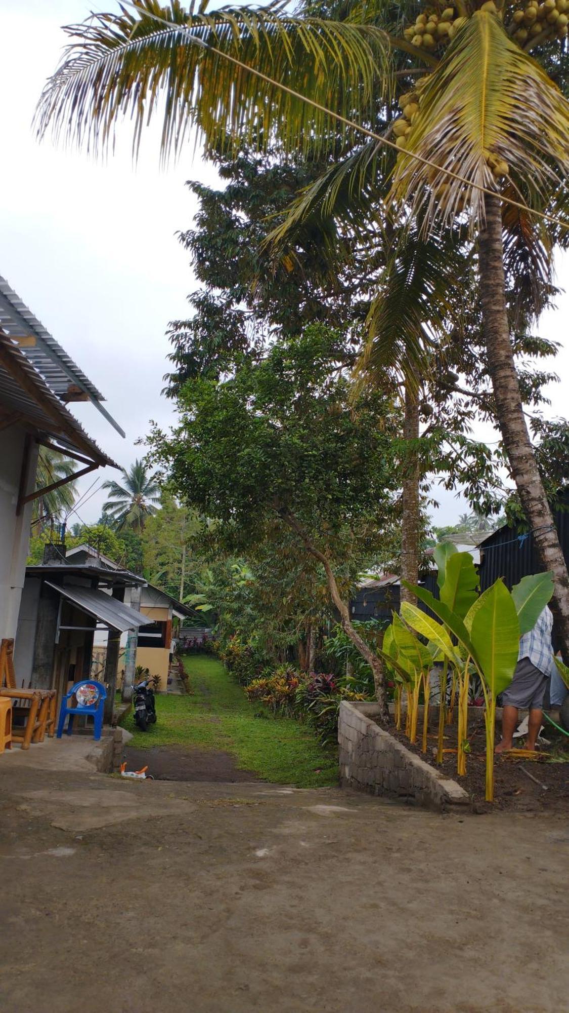 Tatasya Homestay Senaru Ngoại thất bức ảnh